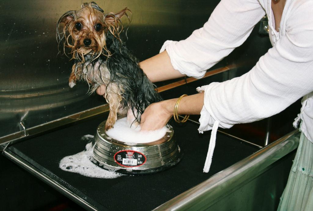 Paw Massage and Foot Soaks